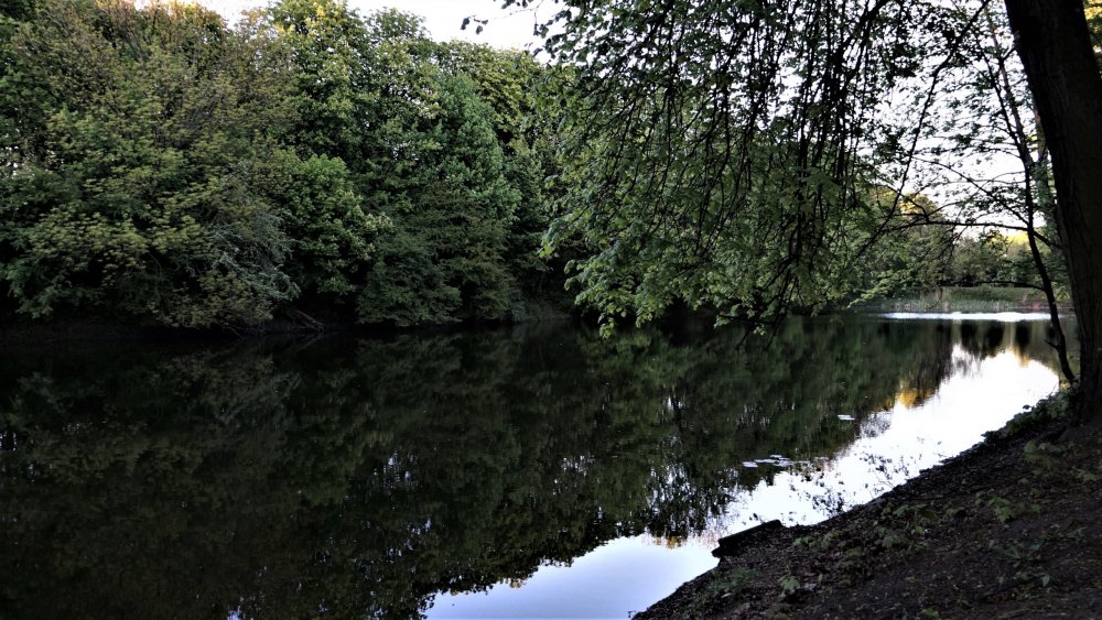 19.05.05_331_Калининград_Южный парк.JPG