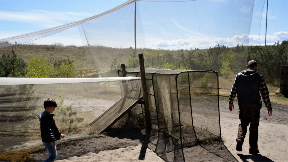 19.05.06_017_Куршская коса_Станция кольцевания птиц.JPG