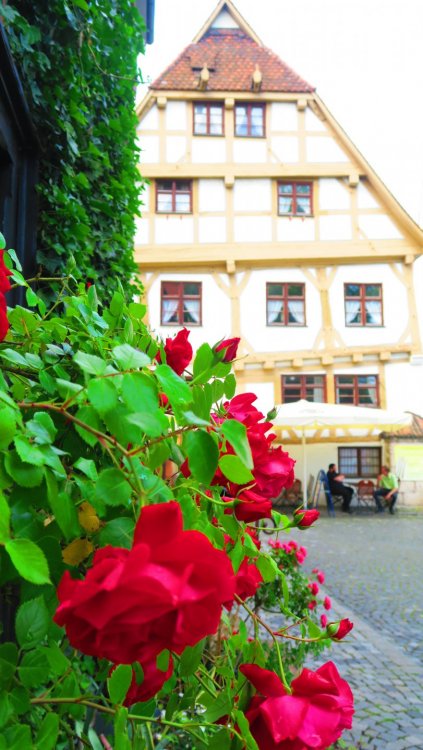 Солнечная Германия 671.jpg