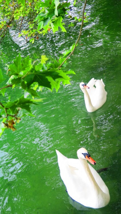 Солнечная Германия 523.jpg