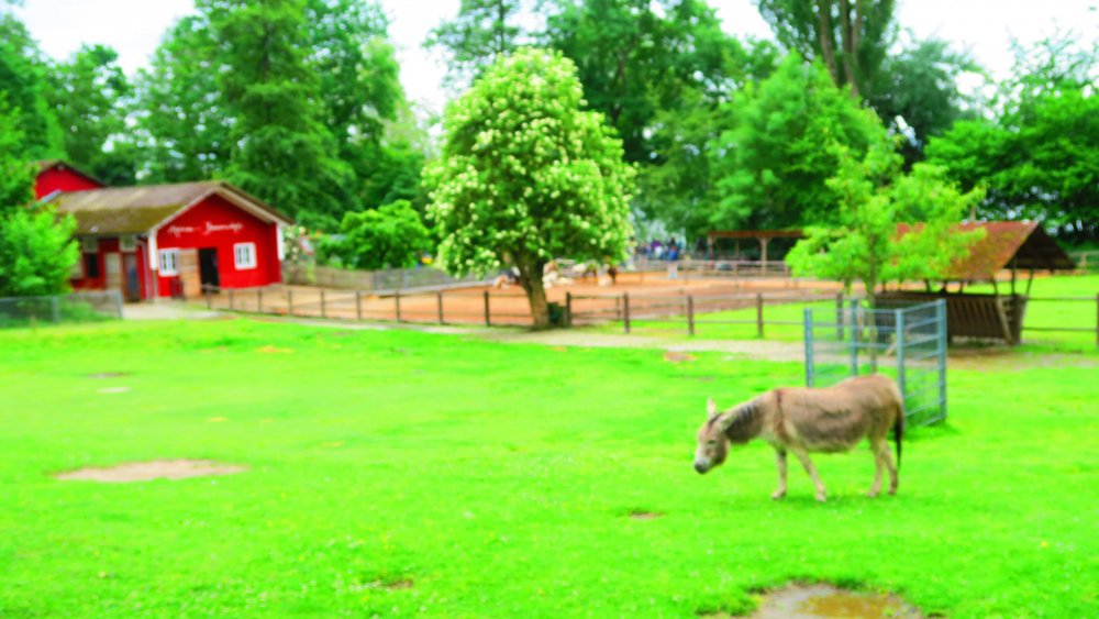 Солнечная Германия 516.jpg