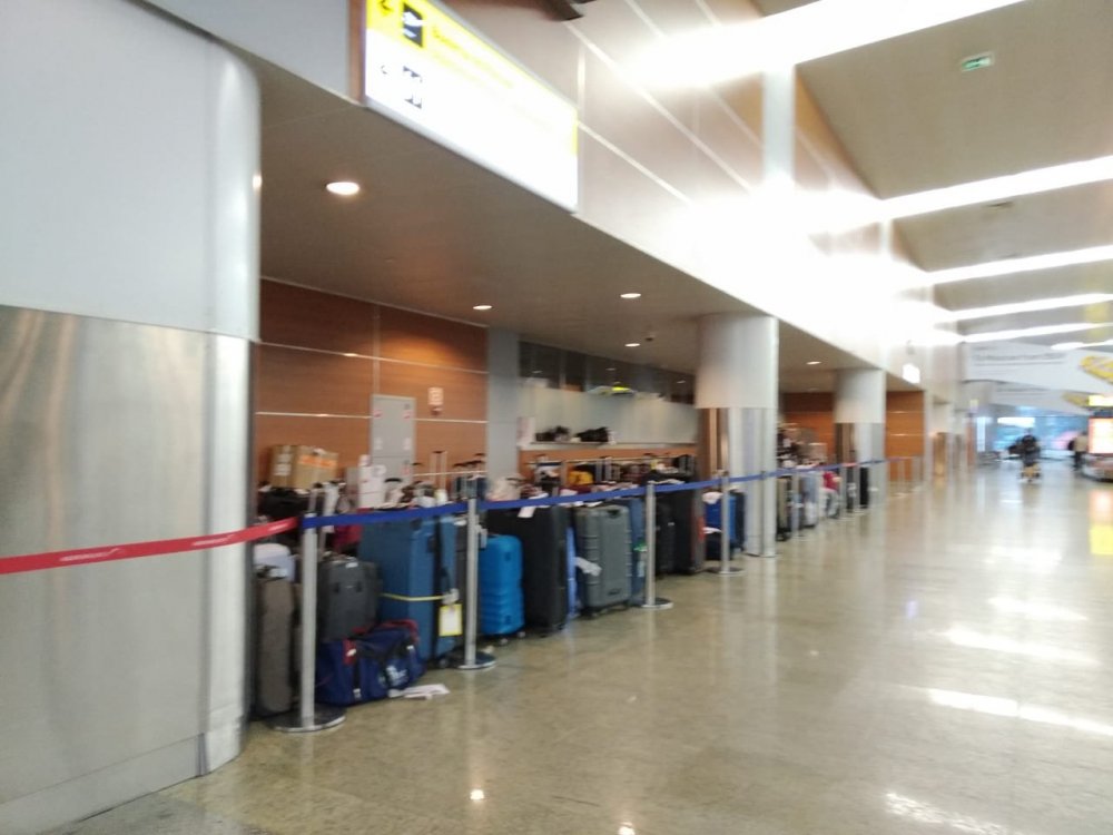 WhatsApp Image 2019-06-16 at 04.51.51.jpeg