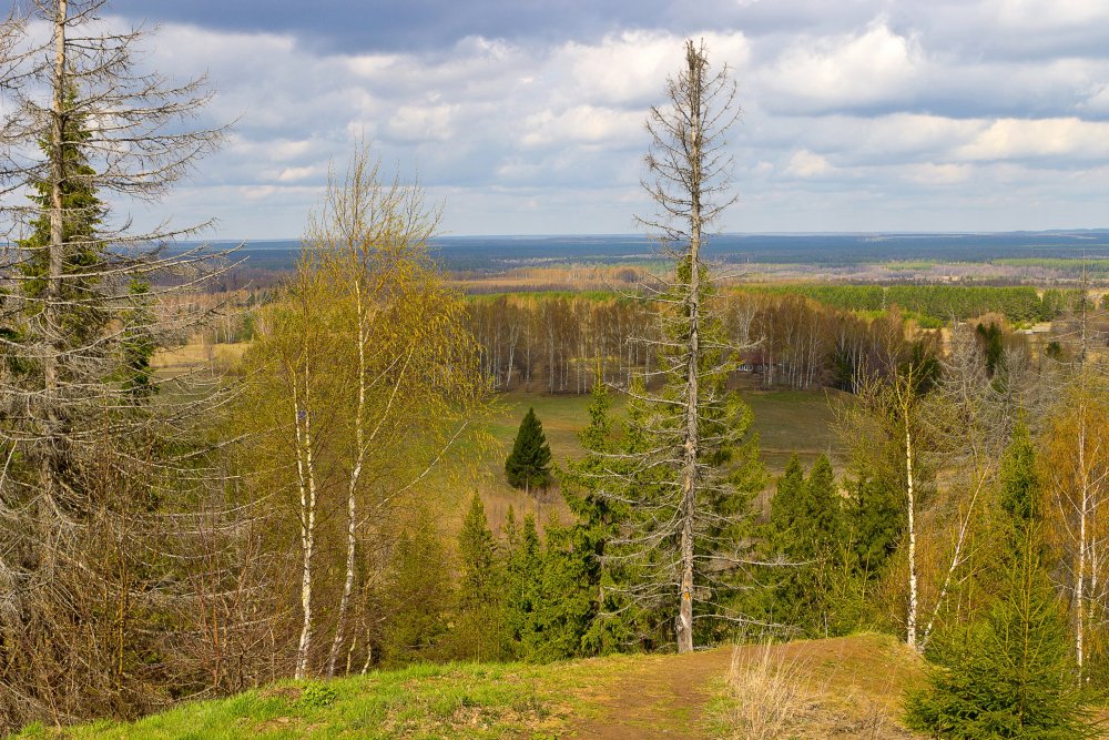 IMG_6870-1 Природа Марий Эл.jpg