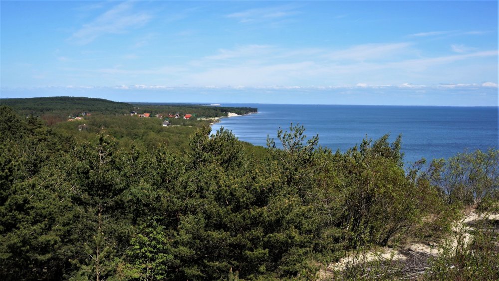 19.05.06_144_ Куршская коса_ Высота Эфа (дюна).JPG