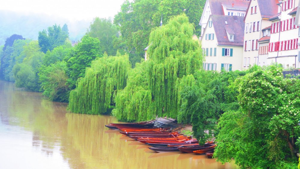 Солнечная Германия 590.jpg