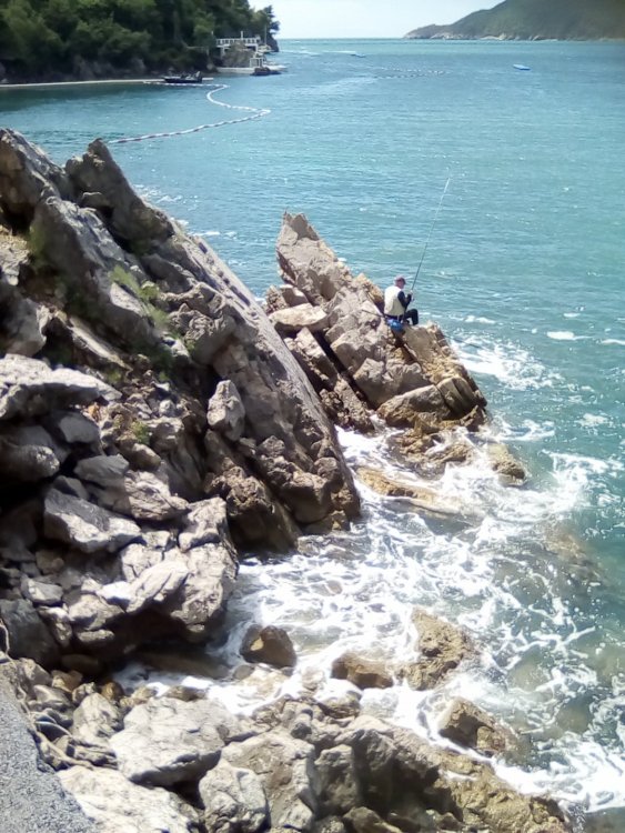 Изображение 083.jpg