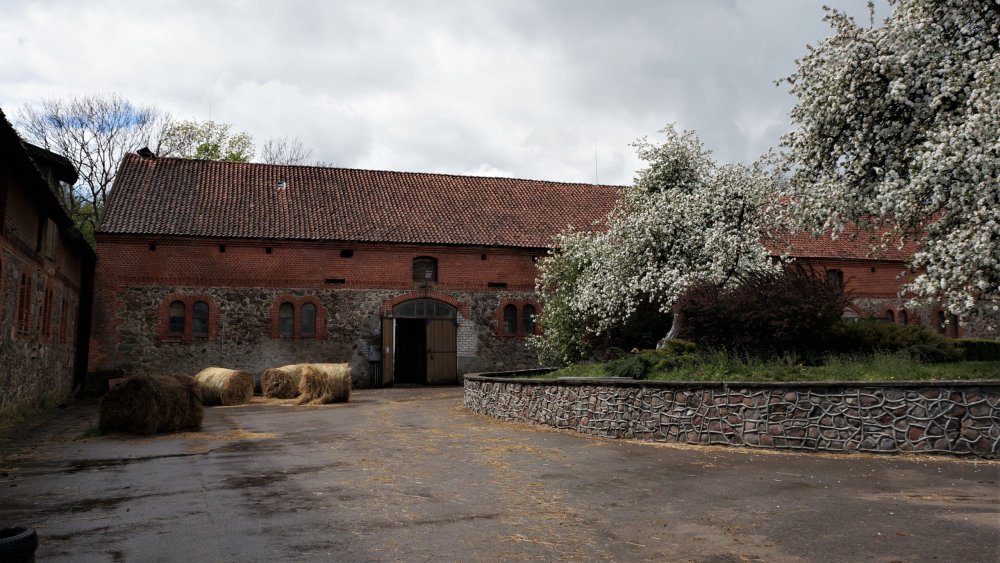 19.05.05_138_Черняховск_Конезавод Георгенбург.JPG