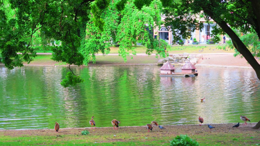 Солнечная Германия 081.jpg