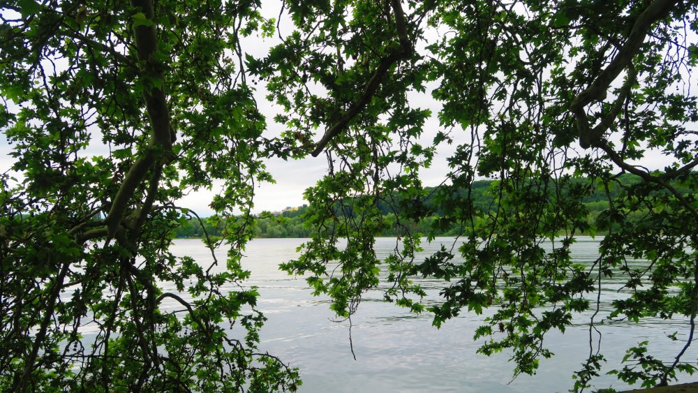 Солнечная Германия 521.jpg