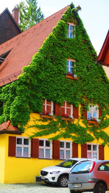 Солнечная Германия 770.jpg