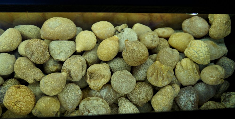 19.05.07_016_Янтарный_Музей янтаря.JPG