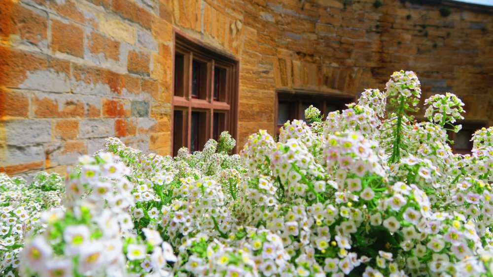 Солнечная Германия 635.jpg