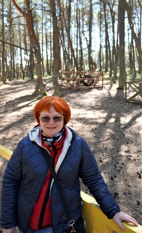 19.05.06_089_ Куршская коса_ Танцующий лес.JPG