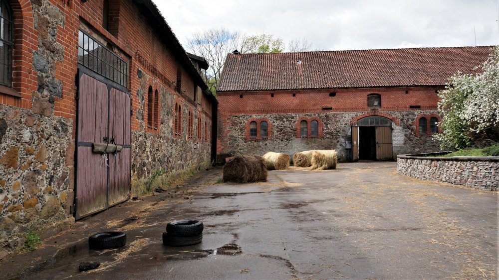 19.05.05_139_Черняховск_Конезавод Георгенбург.JPG