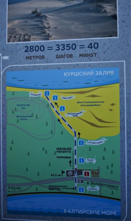 19.05.06_111_ Куршская коса_ Высота Эфа (дюна).JPG