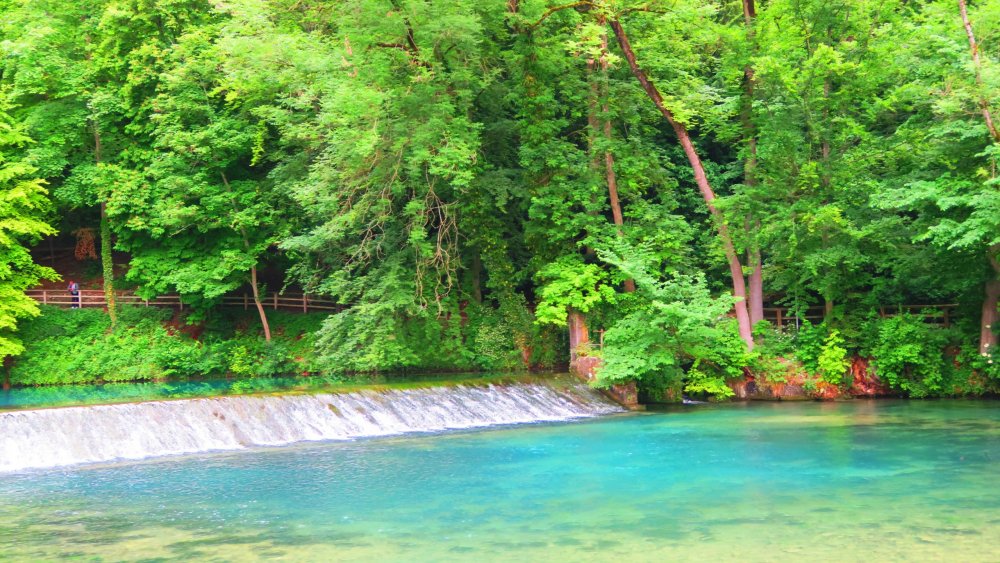 Солнечная Германия 686.jpg