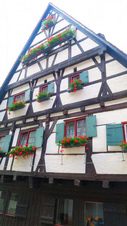 Солнечная Германия 668.jpg