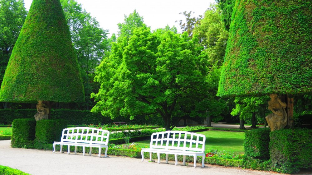 Солнечная Германия 865.jpg