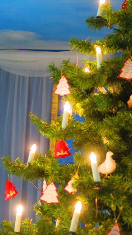 Солнечная Германия 844.jpg