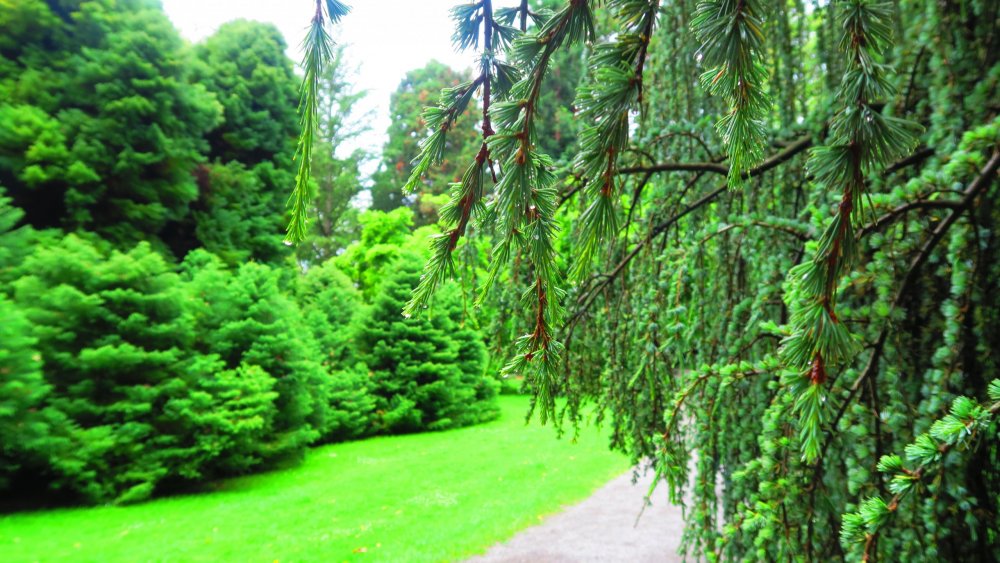 Солнечная Германия 509.jpg