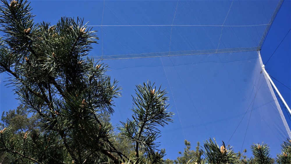 19.05.06_010_Куршская коса_Станция кольцевания птиц.JPG