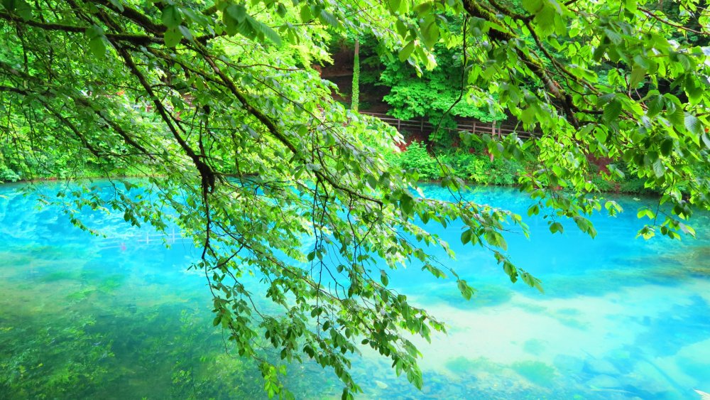 Солнечная Германия 689.jpg