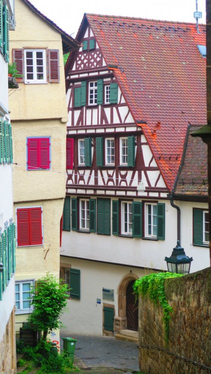 Солнечная Германия 597.jpg