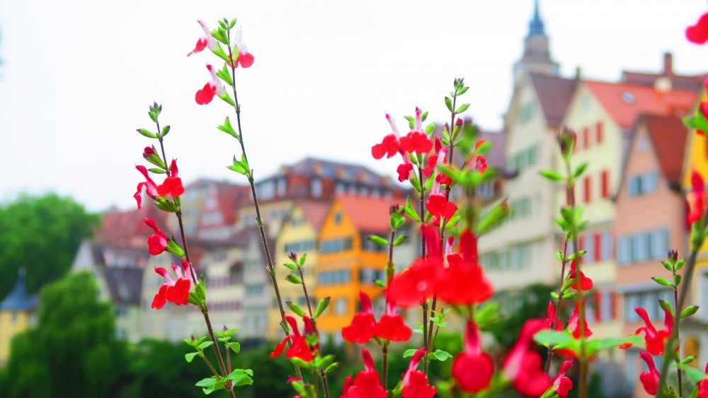 Солнечная Германия 589.jpg