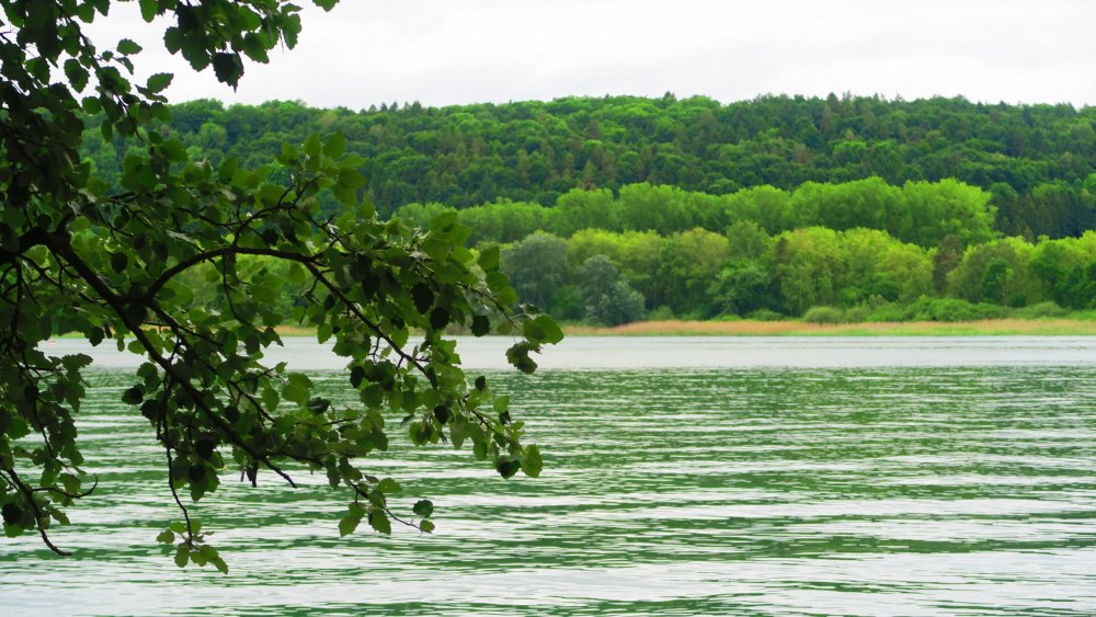 Солнечная Германия 518.jpg