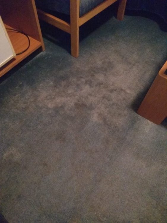 WhatsApp Image 2019-06-30 at 23.51.27.jpeg