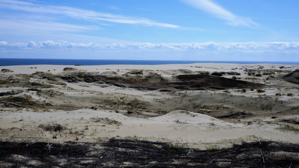 19.05.06_122_ Куршская коса_ Высота Эфа (дюна).JPG