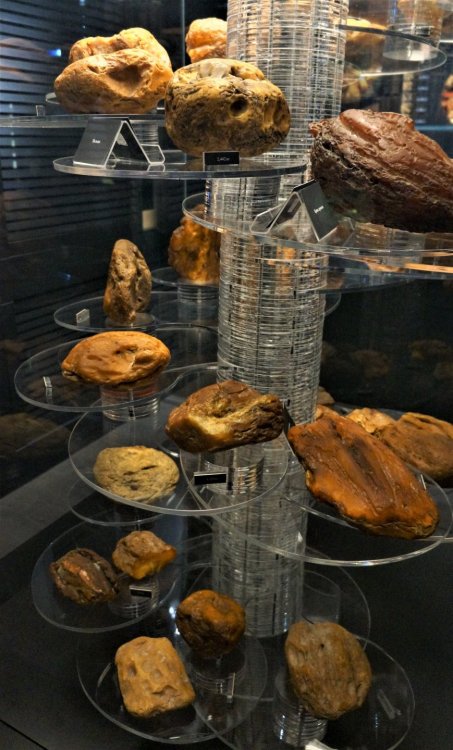 19.05.07_022_Янтарный_Музей янтаря.JPG