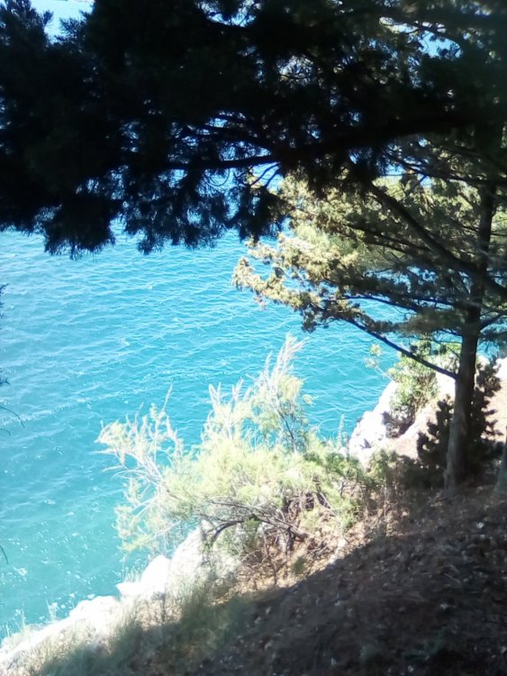 Изображение 100.jpg