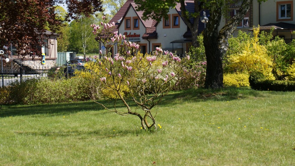 19.05.07_105_Янтарный_Отель 5 звезд.JPG