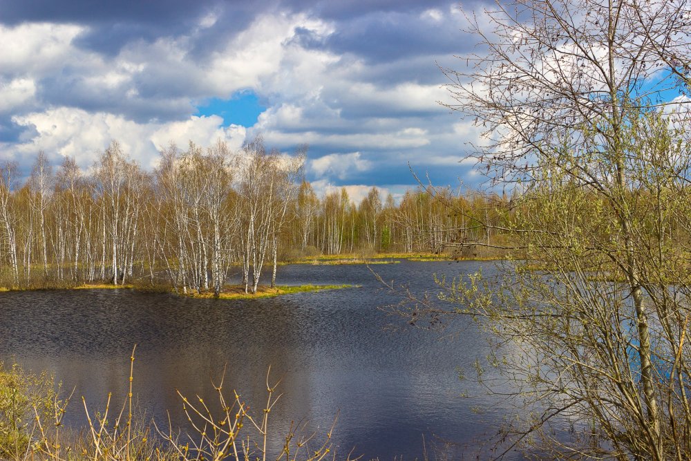 IMG_6882-1 Природа Марий Эл.jpg