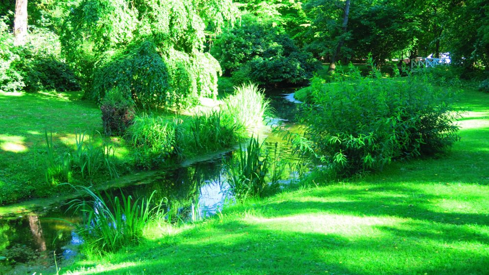 Солнечная Германия 210.jpg