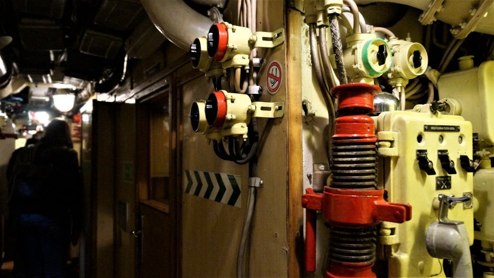 19.05.06_178_Калининград_Музей мирового океана.JPG