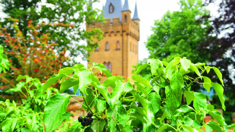 Солнечная Германия 624.jpg