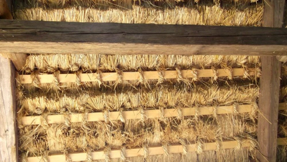 Золотые стёжки Чешского Рая 1961.JPG