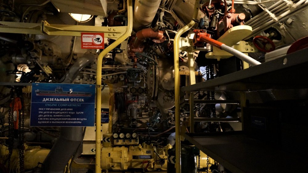 19.05.06_220_Калининград_Музей мирового океана.JPG