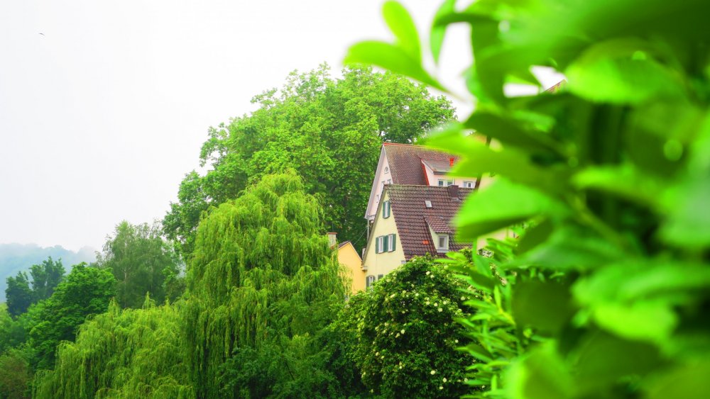 Солнечная Германия 591.jpg