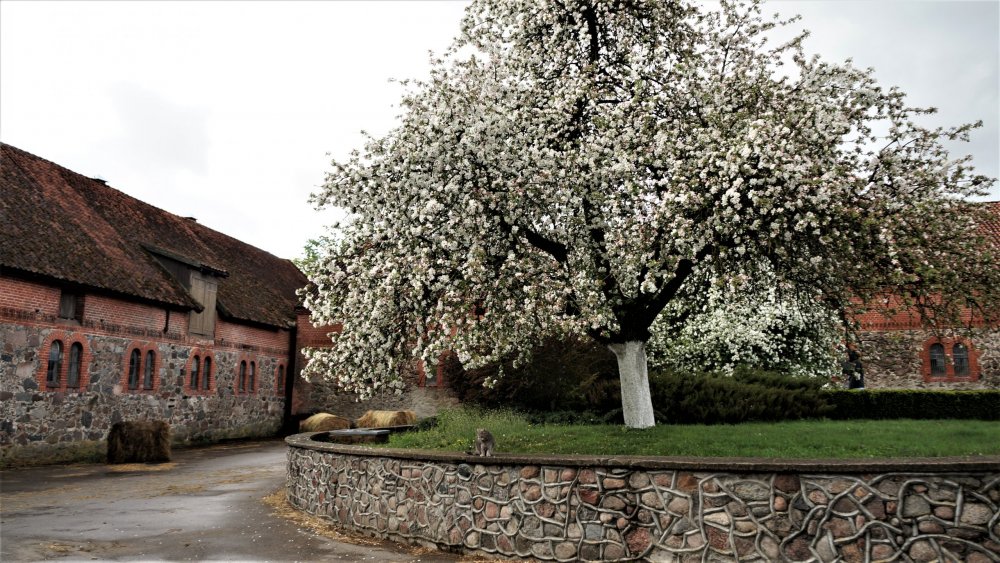 19.05.05_142_Черняховск_Конезавод Георгенбург.JPG