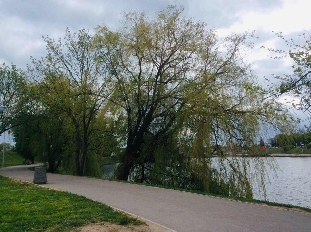 19.05.02_161_Калининград_Нижнее озеро.jpg