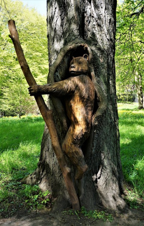 19.05.07_166_Янтарный_парк имени Беккра.JPG