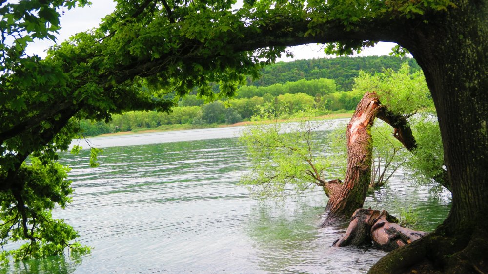 Солнечная Германия 525.jpg