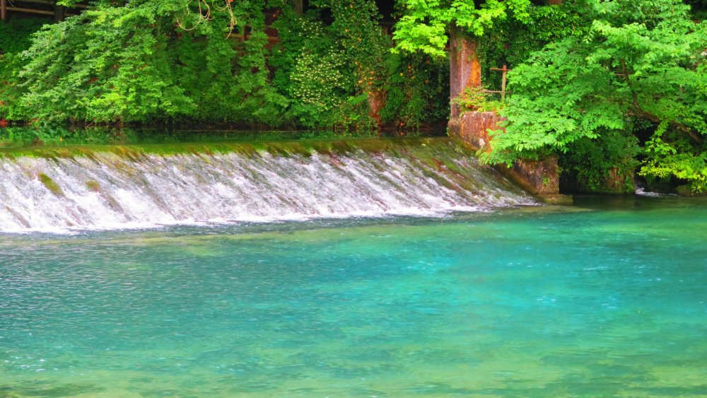 Солнечная Германия 687.jpg