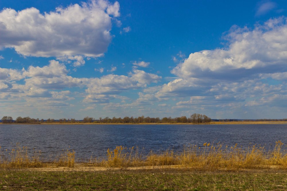 IMG_6342 Вид на Свиягу.jpg