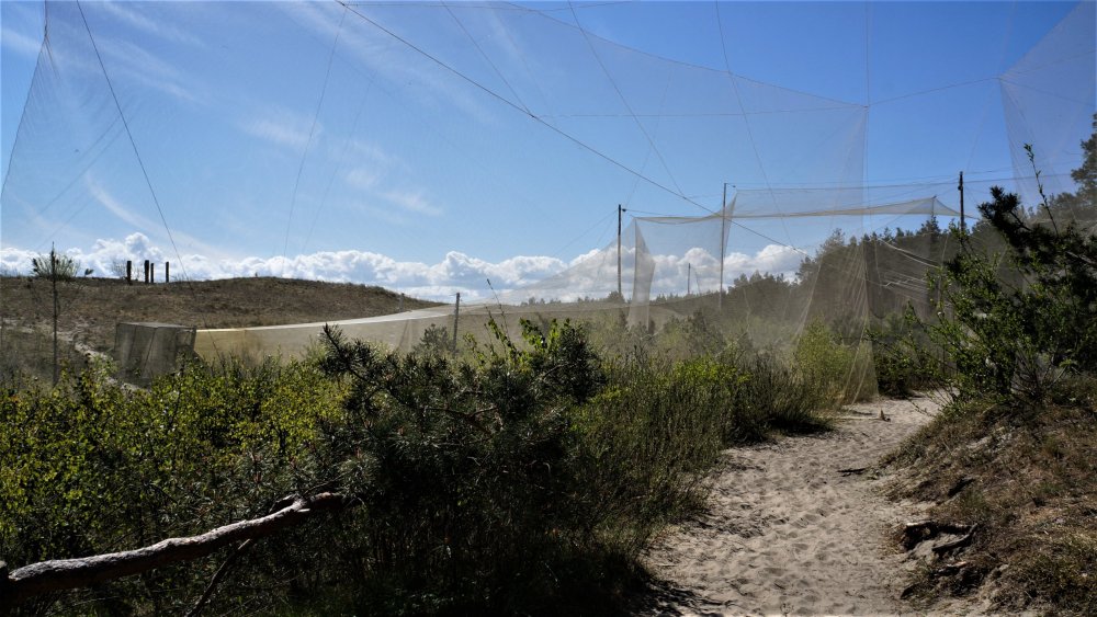 19.05.06_007_Куршская коса_Станция кольцевания птиц.JPG