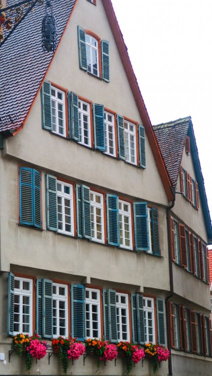 Солнечная Германия 599.jpg