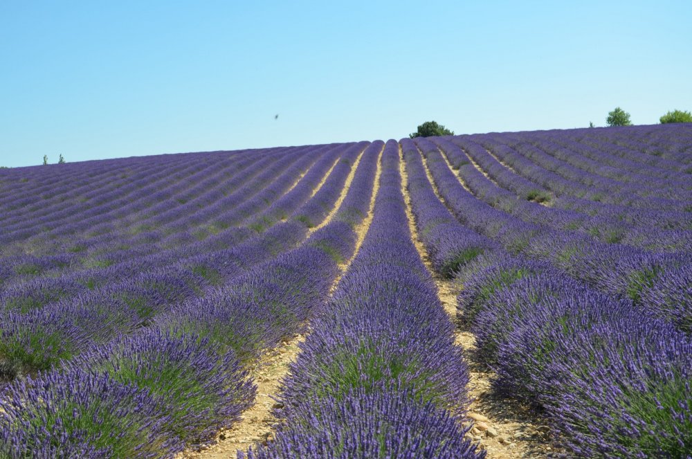 Тур 2AS ч.5 237.JPG